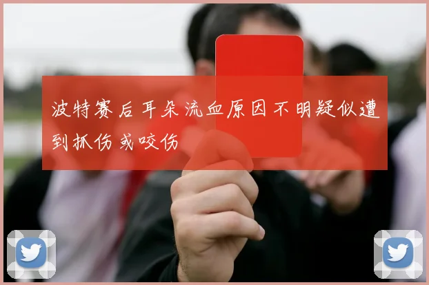 波特赛后耳朵流血原因不明疑似遭到抓伤或咬伤