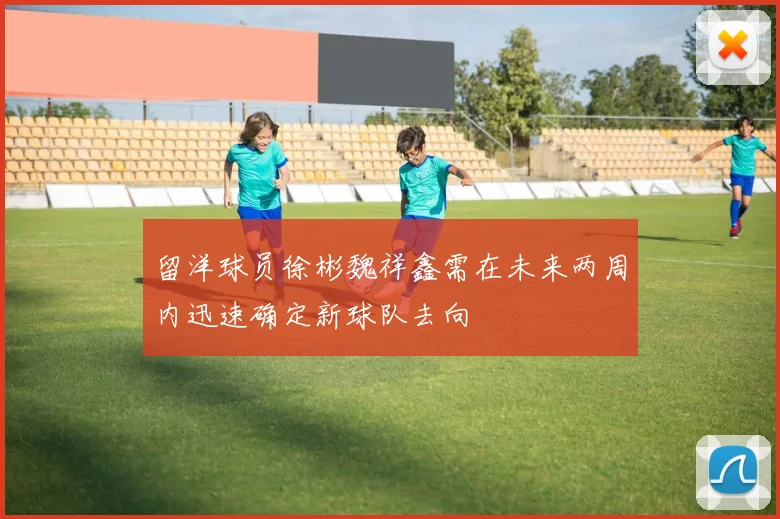 留洋球员徐彬魏祥鑫需在未来两周内迅速确定新球队去向